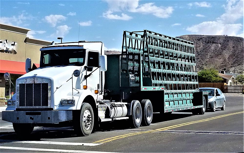 A truck on Georgia highway