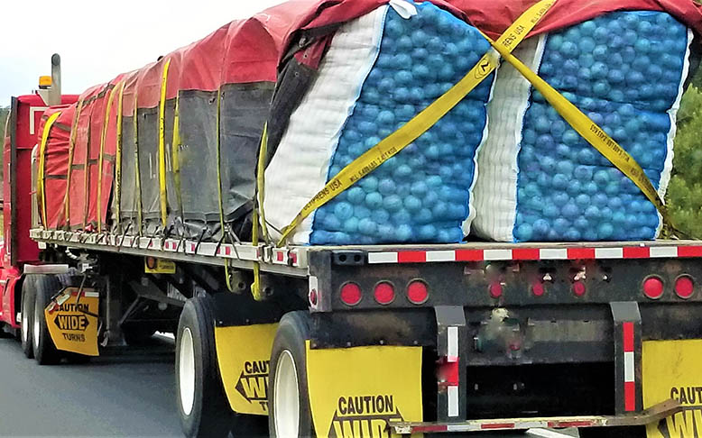 loaded truck on the road